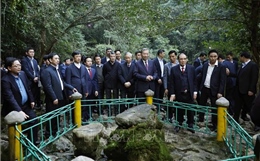 Tổng Bí thư thăm Khu Di tích quốc gia đặc biệt Pác Bó 