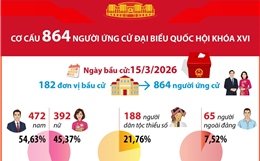 Thống kê cơ cấu 864 người ứng cử Đại biểu Quốc hội khóa XVI