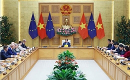 Thủ tướng tiếp Phái đoàn Liên minh châu Âu và Đại sứ các nước thành viên EU tại Việt Nam 