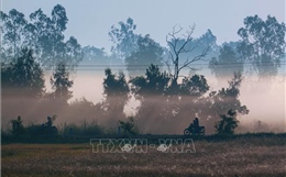 Vẻ đẹp thơ mộng miền quê Cần Thơ trong sương sớm 