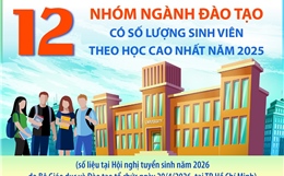 12 nhóm ngành đào tạo có số lượng sinh viên theo học cao nhất năm 2025