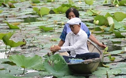 Nét văn hóa độc đáo của trà sen xứ Huế 