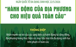 Ngày Quốc tế đa dạng sinh học 22/5/2026: 'Hành động của địa phương cho hiệu quả toàn cầu'