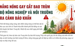 Cảnh báo khẩn về cháy rừng khi nắng nóng gay gắt 