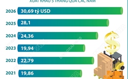 5 tháng năm 2026: Xuất khẩu nông, lâm, thủy sản vượt 30 tỷ USD