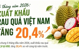 5 tháng năm 2026: Xuất khẩu rau quả tăng 20,4%