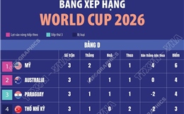 Bảng xếp hạng World Cup 2026: Bảng D - E - F