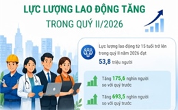 Lực lượng lao động tăng trong quý II/2026