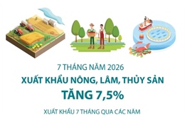 7 tháng năm 2026: Xuất khẩu nông, lâm, thủy sản tăng 7,5%