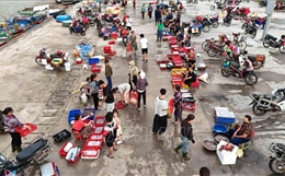 Nhịp sống sôi động tại cảng cá Cửa Nhượng
