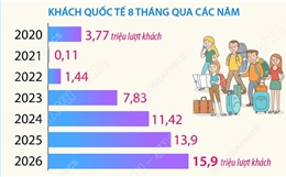 8 tháng năm 2026: Khách quốc tế đến Việt Nam tăng 14,4%
