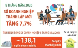 8 tháng năm 2026: Số doanh nghiệp thành lập mới tăng 7,7%
