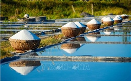 Những người giữ 'vị mặn' trên cánh đồng muối Châu Hạ (Hà Tĩnh)