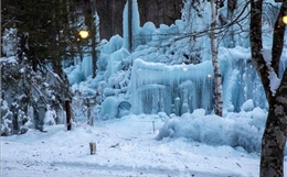 Khu rừng băng giá kỳ ảo vùng Hida