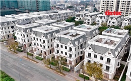 TP Hồ Chí Minh: Nhà phố, biệt thự tiền tỷ để hoang tàn nhiều năm ở Cát Lái