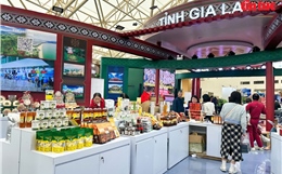 Không gian đậm bản sắc Tây Nguyên tại Hội chợ Mùa Thu 2025