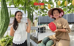 Người phụ nữ 'biến' sân thượng thành khu vườn nông sản bốn mùa
