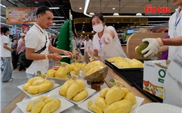 Buffet sầu riêng thưởng thức không giới hạn hút khách tại TP Hồ Chí Minh