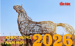 TP Hồ Chí Minh: Ngựa khổng lồ cao 8 mét xuất hiện trên khu ‘đất vàng’ đường Trần Phú