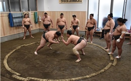Sumo - Biểu tượng thể thao của Nhật Bản đang rơi vào thời kỳ khủng hoảng?