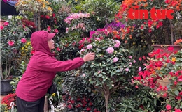 Người lao động Thủ đô vượt giá rét để mưu sinh 