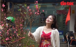 Thị trường hoa và cây cảnh Tết giữ giá chờ sức mua