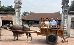 Đi xe trâu khám phá làng cổ Đường Lâm