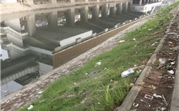 Tình trạng rác thải tái diễn trên sông Tô Lịch sau gần một năm cải tạo