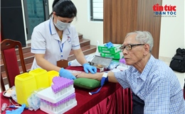 Những mẫu sinh phẩm mang hy vọng tìm lại tên cho các liệt sĩ