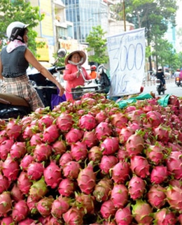 Đầu ra cho nông sản 	