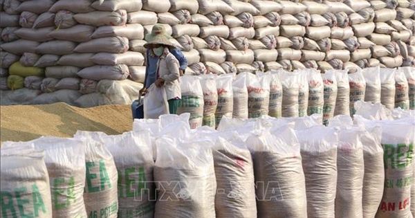 Đã nhập kho dự trữ quốc gia 190.000 tấn gạo