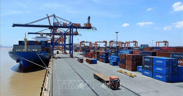 Vinalines lùi thời gian tổ chức đại hội cổ đông vào phút chót